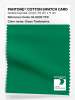 Artikelbild 1 des Artikels “PANTONE® COTTON SWATCH CARD 18-6033 TCX Green Tambourine “