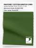 Artikelbild 1 des Artikels “PANTONE® COTTON SWATCH CARD 19-0231 TCX Forest Elf “