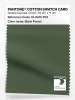 Artikelbild 1 des Artikels “PANTONE® COTTON SWATCH CARD 19-0315 TCX Black Forest “