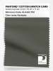 Artikelbild 1 des Artikels “PANTONE® COTTON SWATCH CARD 19-0404 TCX Kambaba “