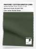Artikelbild 1 des Artikels “PANTONE® COTTON SWATCH CARD 19-0417 TCX Kombu Green “