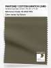 Artikelbild 1 des Artikels “PANTONE® COTTON SWATCH CARD 19-0512 TCX Ivy Green “