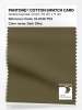 Artikelbild 1 des Artikels “PANTONE® COTTON SWATCH CARD 19-0516 TCX Dark Olive “