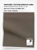 Artikelbild 1 des Artikels “PANTONE® COTTON SWATCH CARD 19-0820 TCX Canteen “