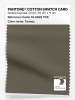 Artikelbild 1 des Artikels “PANTONE® COTTON SWATCH CARD 19-0822 TCX Tarmac “