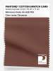Artikelbild 1 des Artikels “PANTONE® COTTON SWATCH CARD 19-1436 TCX Cinnamon “