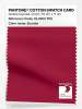 Product image 1 of the product “PANTONE® COTTON SWATCH CARD 19-1863 TCX Scooter ”