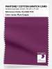 Artikelbild 1 des Artikels “PANTONE® COTTON SWATCH CARD 19-2429 TCX Plum Caspia “