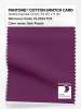 Artikelbild 1 des Artikels “PANTONE® COTTON SWATCH CARD 19-2524 TCX Dark Purple “