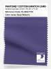 Artikelbild 1 des Artikels “PANTONE® COTTON SWATCH CARD 19-3842 TCX Deep Wisteria “