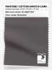 Product image 1 of the product “PANTONE® COTTON SWATCH CARD 19-3900 TCX Pavement ”