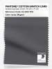 Product image 1 of the product “PANTONE® COTTON SWATCH CARD 19-3901 TCX Magnet ”