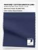Artikelbild 1 des Artikels “PANTONE® COTTON SWATCH CARD 19-3937 TCX Ocean Cavern “