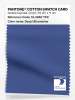 Artikelbild 1 des Artikels “PANTONE® COTTON SWATCH CARD 19-3950 TCX Deep Ultramarine “