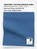 Product image 1 of the product “PANTONE® COTTON SWATCH CARD 19-4037 TCX Bright Cobalt ”