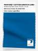 Artikelbild 1 des Artikels “PANTONE® COTTON SWATCH CARD 19-4045 TCX Lapis Blue “