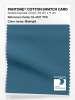 Artikelbild 1 des Artikels “PANTONE® COTTON SWATCH CARD 19-4127 TCX Midnight “