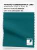 Artikelbild 1 des Artikels “PANTONE® COTTON SWATCH CARD 19-4534 TCX Chesapeake Bay “