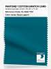 Artikelbild 1 des Artikels “PANTONE® COTTON SWATCH CARD 19-4540 TCX Deep Lagoon “