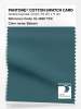 Product image 1 of the product “PANTONE® COTTON SWATCH CARD 19-4820 TCX Balsam ”