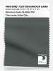 Product image 1 of the product “PANTONE® COTTON SWATCH CARD 19-5004 TCX Urban Chic ”