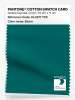 Artikelbild 1 des Artikels “PANTONE® COTTON SWATCH CARD 19-5217 TCX Storm “