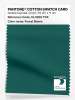 Artikelbild 1 des Artikels “PANTONE® COTTON SWATCH CARD 19-5230 TCX Forest Biome “