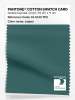 Product image 1 of the product “PANTONE® COTTON SWATCH CARD 19-5413 TCX Jasper ”