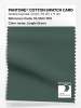 Artikelbild 1 des Artikels “PANTONE® COTTON SWATCH CARD 19-5914 TCX Jungle Green “