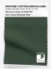 Product image 1 of the product “PANTONE® COTTON SWATCH CARD 19-5918 TCX Mountain View ”