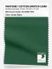 Product image 1 of the product “PANTONE® COTTON SWATCH CARD 19-6050 TCX Eden ”