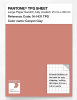 Artikelbild 1 des Artikels “PANTONE® TPG SHEET 16-1431 TPG Canyon Clay “