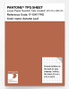Product image 1 of the product “PANTONE® TPG SHEET 17-1347 TPG Autumn Leaf ”