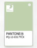 Artikelbild 1 des Artikels “PANTONE® PLASTIC STANDARD CHIP PQ 12-0317 TCX Gleam “