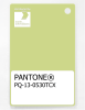 Artikelbild 1 des Artikels “PANTONE® PLASTIC STANDARD CHIP PQ 13-0530 TCX Lime Sherbet “