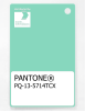 Artikelbild 1 des Artikels “PANTONE® PLASTIC STANDARD CHIP PQ 13-5714 TCX Cabbage “