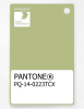 Product image 1 of the product “PANTONE® PLASTIC STANDARD CHIP PQ 14-0223 TCX Nile ”