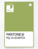 Artikelbild 1 des Artikels “PANTONE® PLASTIC STANDARD CHIP PQ 15-0336 TCX Herbal Garden “