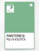 Artikelbild 1 des Artikels “PANTONE® PLASTIC STANDARD CHIP PQ 15-6322 TCX Light Grass Green “