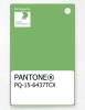 Artikelbild 1 des Artikels “PANTONE® PLASTIC STANDARD CHIP PQ 15-6437 TCX Grass Green “