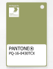 Artikelbild 1 des Artikels “PANTONE® PLASTIC STANDARD CHIP PQ 16-0430 TCX Fern “