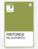 Artikelbild 1 des Artikels “PANTONE® PLASTIC STANDARD CHIP PQ 16-0439 TCX Spinach Green “