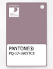 Product image 1 of the product “PANTONE® PLASTIC STANDARD CHIP PQ 17-1605 TCX Elderberry ”
