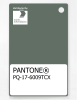 Artikelbild 1 des Artikels “PANTONE® PLASTIC STANDARD CHIP PQ 17-6009 TCX Laurel Wreath “