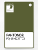Product image 1 of the product “PANTONE® PLASTIC STANDARD CHIP PQ 18-0228 TCX Pesto ”