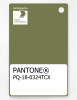 Product image 1 of the product “PANTONE® PLASTIC STANDARD CHIP PQ 18-0324 TCX Calliste Green ”