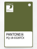 Artikelbild 1 des Artikels “PANTONE® PLASTIC STANDARD CHIP PQ 18-0328 TCX Cedar Green “