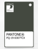 Artikelbild 1 des Artikels “PANTONE® PLASTIC STANDARD CHIP PQ 19-0307 TCX Climbing Ivy “