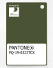 Artikelbild 1 des Artikels “PANTONE® PLASTIC STANDARD CHIP PQ 19-0323 TCX Chive “