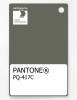 Artikelbild 1 des Artikels “PANTONE® PLASTIC STANDARD CHIP PQ 417C “